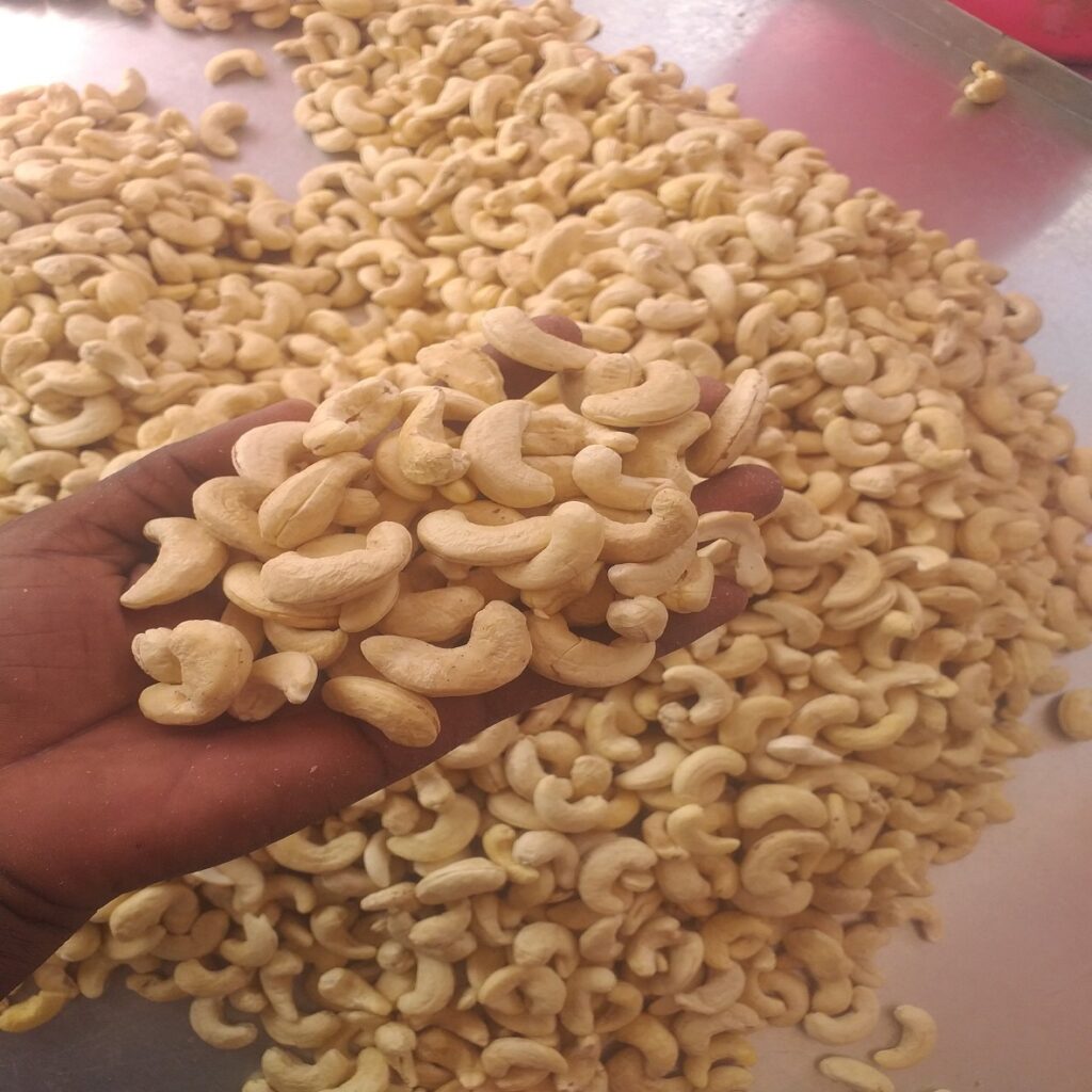 cashew kernels