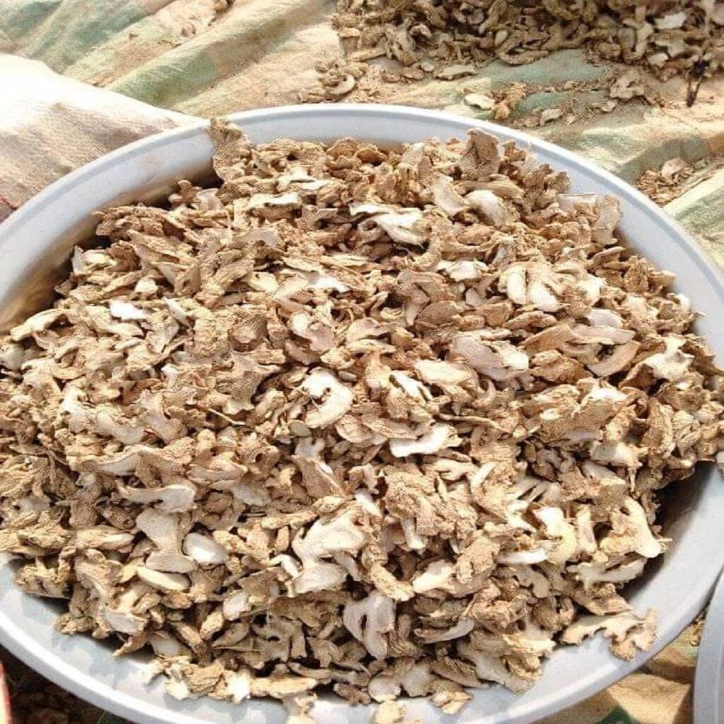 Home - Tropical Plants (Nig) Limited