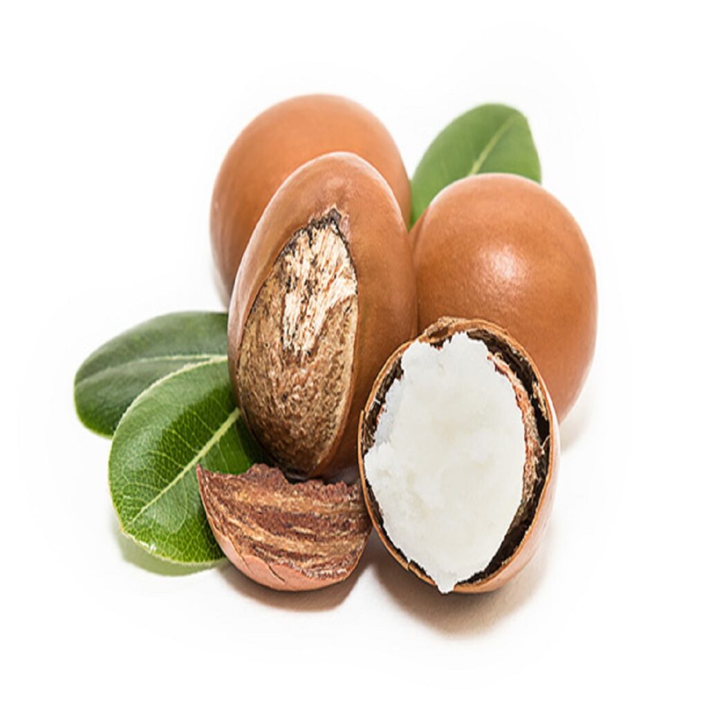 shea nuts