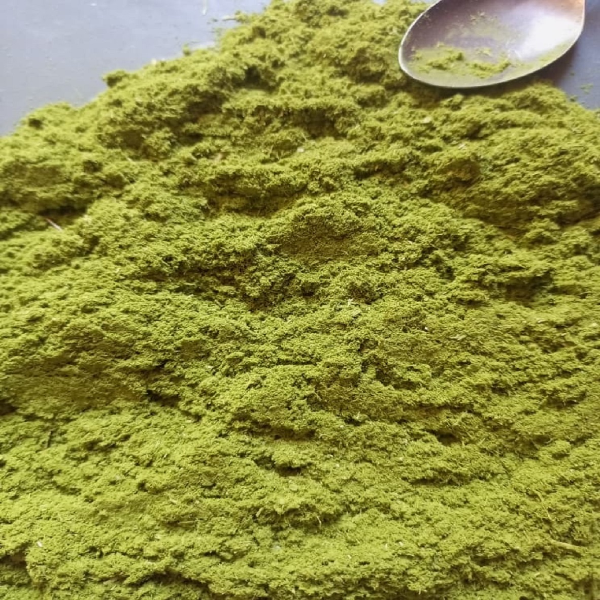 Nature’s Calming Power: Discover the Benefits of Soursop Leaf Powder by Nootropic Foods soursop leaf powder